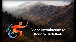 Intro to the Bounce Back Program Net Worth