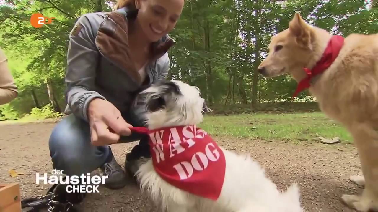 haustier check haustier check