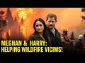 Meghan Markle and Prince Harry Came Out to Support LA Wildfires Survivors royal hidden news