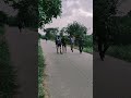 ##running####motivation## never give up ##