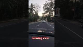 If Youre Alone And Lonely Just Go On Road Trip