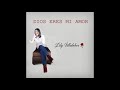 7 enamorada  versin fusin  lily villalobos audio oficial