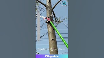Look at This GENIUS Tree Trimming Tool! 🤯 It Cuts High Branches From the Ground! So Satisfying!