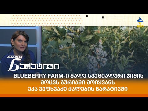 Blueberry Farm-ი მალე სპეციალური ჯიშის მოცვს გურიაში მოიყვანს - ეკა ვეფხვაძე ქალების ნარატივში
