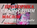 Прикормка с камфорным маслом карп лещ плотва карась по всей белой рыбе