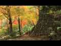 京都の紅葉 Autumn colors in Kyoto HD