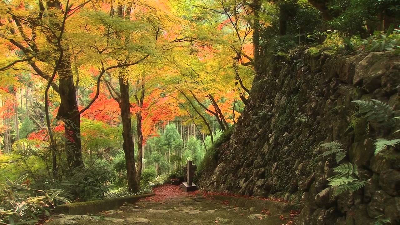 京都の紅葉 Autumn colors in Kyoto HD