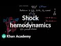 Understanding Shock and Perfusion