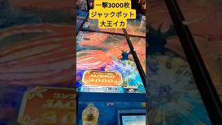 釣りスピリッツ ラウンドワンバージョンのジャックポット動画 海底遺跡ステージ 大王イカとのジャックポットバトル