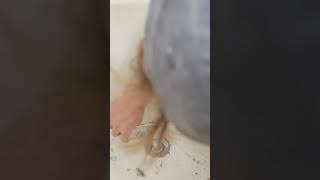 How to Remove a Tub
How to Remove a Tub How to Remove a Tub