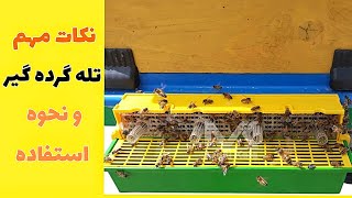 نحوه استفاده از تله گرده گیر و نکات مهم در جمع آوری گرده گل | آموزش زنبورداری