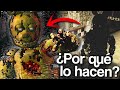 ¿Por Qué los ANIMATRÓNICOS de FNAF se Teletransportan? | Teoría