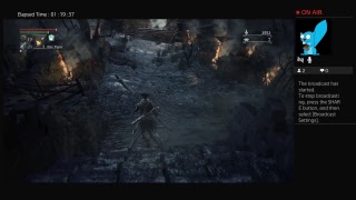 Bloodbourne - Taking on the Blood-Starved Beast