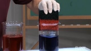 Indicator Sponge