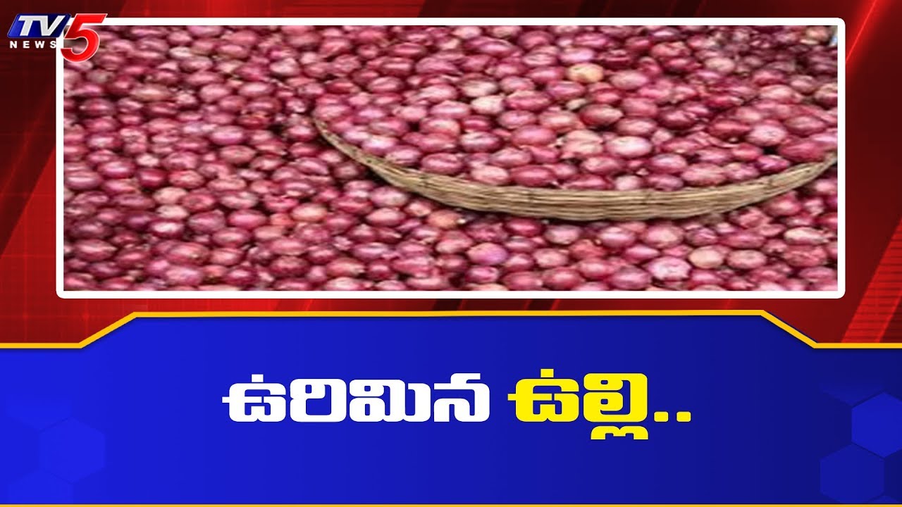 tv5 youtube telugu ఉరిమిన ఉల్లి..! | Vijayawada | TV5 News
