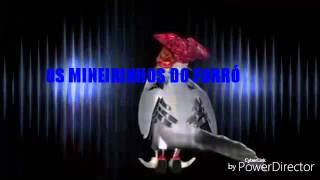 OS MINEIRINHOS DO FORRÓ - sou um homen apaixonado  ( pombinhos dançando )