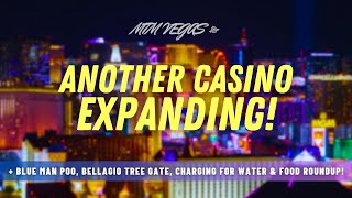 Bellagio's Dead Trees, Another Casino Expands, Good Strip Pizza & Failed Vegas Public Transport!