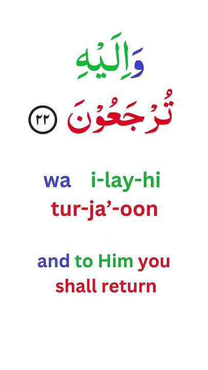 Download lagu 22 Surah Yaseen.  Read and memorise Quran, Easy Arabic and English.