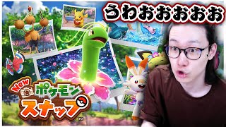 ポケモン元世界王者がポケモンスナップするとこうなる【New ポケモンスナップ ポケスナ 写真】