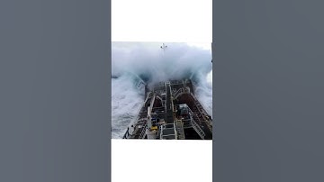 Who Let Caseoh Jump in Pool 💀