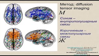 Межполовые различия в поведении - Виноградова Екатерина. Лекция 9