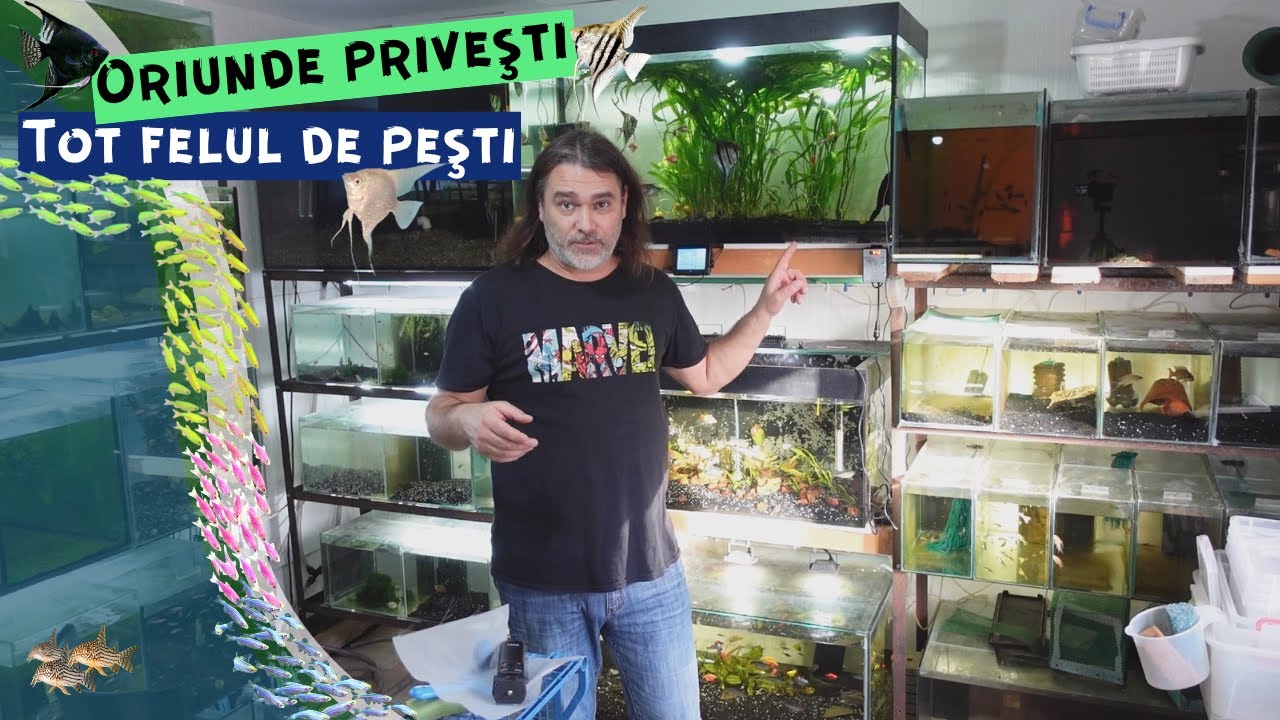 Vlog #18 | Ce pesti mai am pe aici si planuri de viitor - YouTube