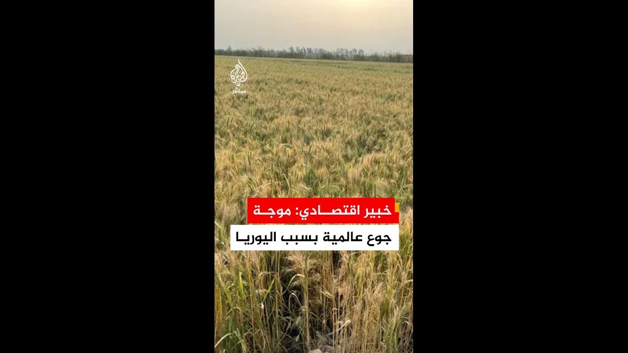 خبير اقتصادي: إغلاق مضيق هرمز يهدد محاصيل القمح والأرز والسكر العالمية لعامي 2026 و2027