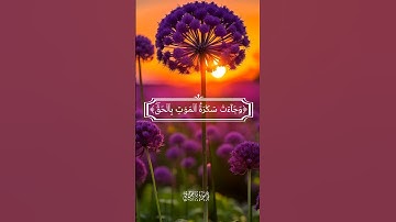 وجاءت سكرة الموت بالحق-سورة ق-القارئ🎙: ياسر الدوسري-(قرآن كريم)