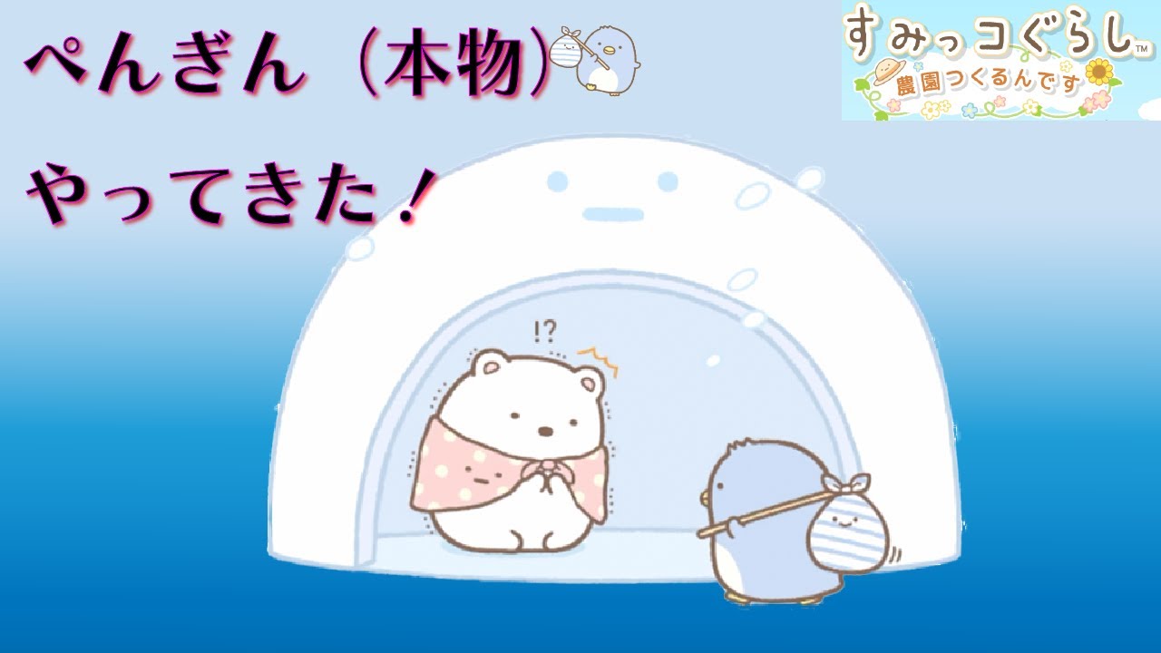 もにまるず すみっコぐらし たぴおか ぺんぎん(本物) 5個セット タピオカ すみっコぐらし ぺんぎん (@pen_guin15) / Twitter