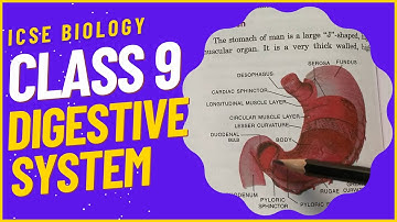 CLASS 9 ICSE Tutorial: Digestive System || Biology || ICSE