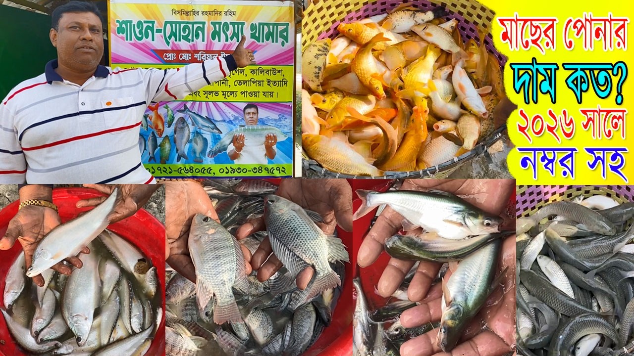 মাছ চাষীদের জন্য ১৫-২০ টায় কেজি লাইনের সাদা কার্প জাতীয় মাছের দাম কত?  বিক্রেতার নম্বর সহ।