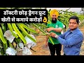 ऐसे कमाए 10 लाख प्रति एकड़ ड्रैगन फ्रूट से | Dragon Fruit Farming in India 7331155778