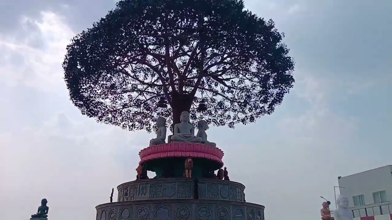 #MandaragiriHills #TravelVlog #PeacockTemple #BasadiBetta #JainTemple #TravelWithMe #BangaloreTravel