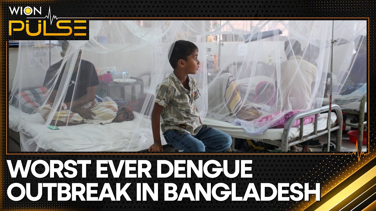 Bangladesh: Surge in dengue fever; death toll crosses 1000 mark | WION ...