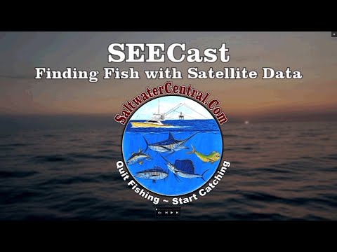 Video: How To Set Up Satellite Fishing