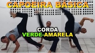 20 Movimentos de Capoeira para Iniciante (Ataques / Esquiva / bases) Verde-Amarela
