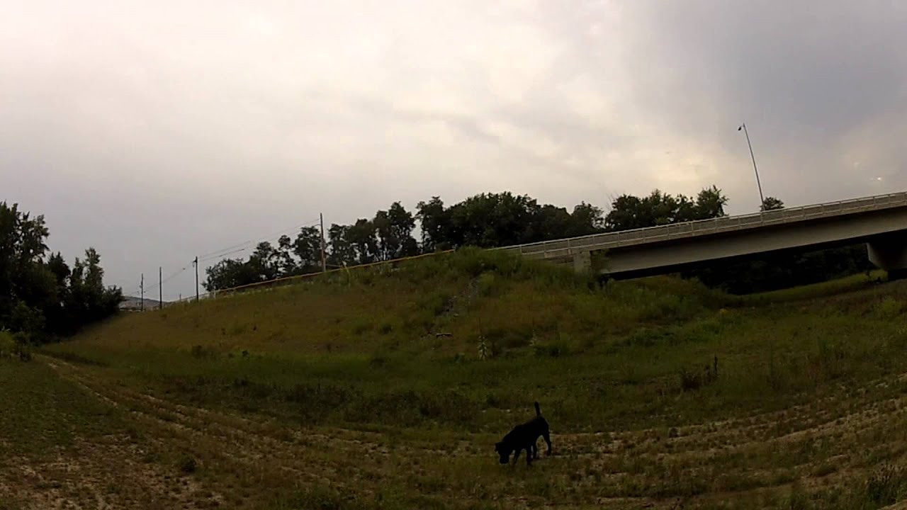 Blade nano QX morning flight camera iphone 8 plus apk
