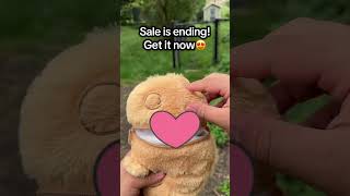 Its So Cute Guys You Need To Get It Now