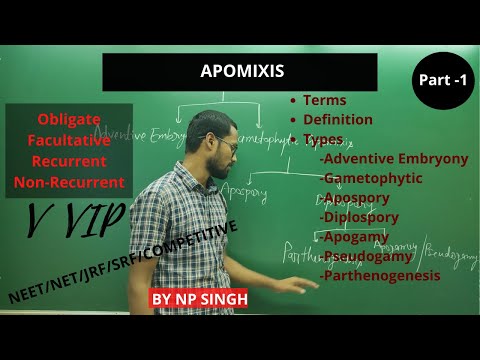 Video: Wat zijn de soorten apomixis?