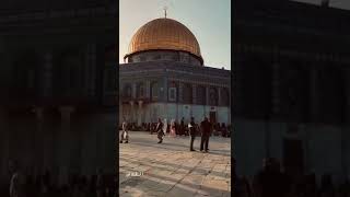 والعيش كم يحلو هناك والله يا قدري اصطفاك قد حان نومك في ثراك وطن حنون 💚✌🏻🇵🇸