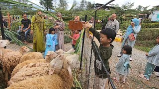 Liburan Bersama Keluarga Besar Beri Makan Sapi Kelinci Ayam Domba Kambing