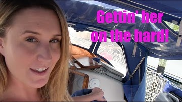 Packing Up! - Lazy Gecko VLOG 60