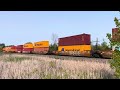 Eastbound: KCS 4698 &amp; CP 9814 pulling mixed/intermodal freight | CPKC Belleville Sub | June 2, 2025
