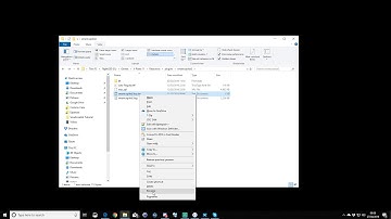 SmartCopilot Tutorial part 11 - Hidden file extensions