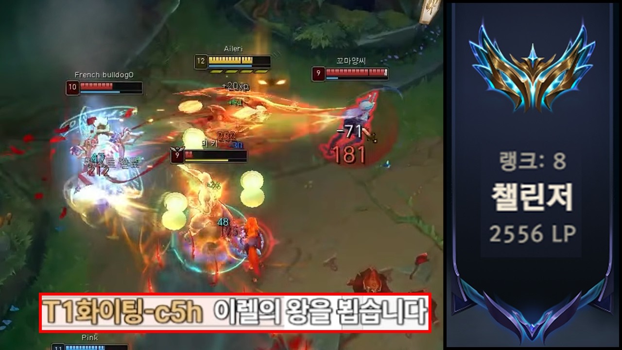 7년 동안 이렐리아에 인생을 갈아 넣은 결과