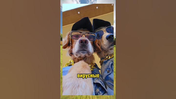 ВИРУСНЫЕ ВИДЕО / Кошачья мята