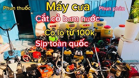 Máy cắt cỏ bao nhiêu tiền một cái năm 2024