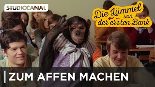 DIE LÜMMEL VON DER ERSTEN BANK | Wenn Lehrer sich zum Affen machen