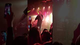 Xavibo, Cardellino - Bambú en vivo