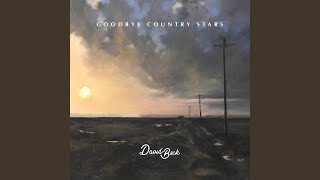 Video thumbnail of "David Beck - Goodbye Country Stars"